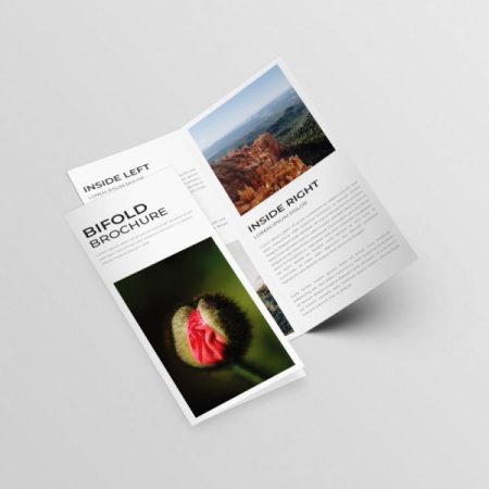 Custom Flyers & Leaflets