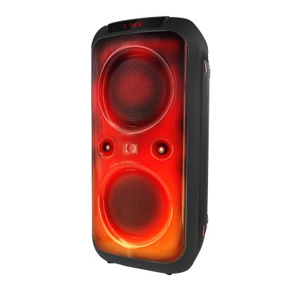 Hyphessobrycon Dual Speaker YB-2608