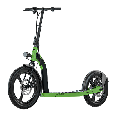 E-Scooter R10 MS Energy