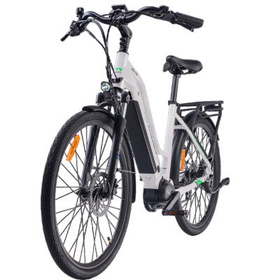 E-Bike c100 MS Energy