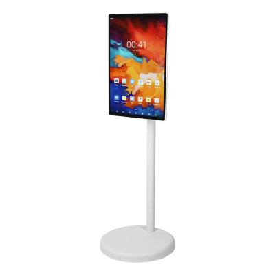 Display Screen Per Reklaminin e Produkteve 24”
