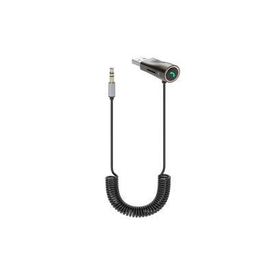 Audio Reciver USB to Aux Earldom M65